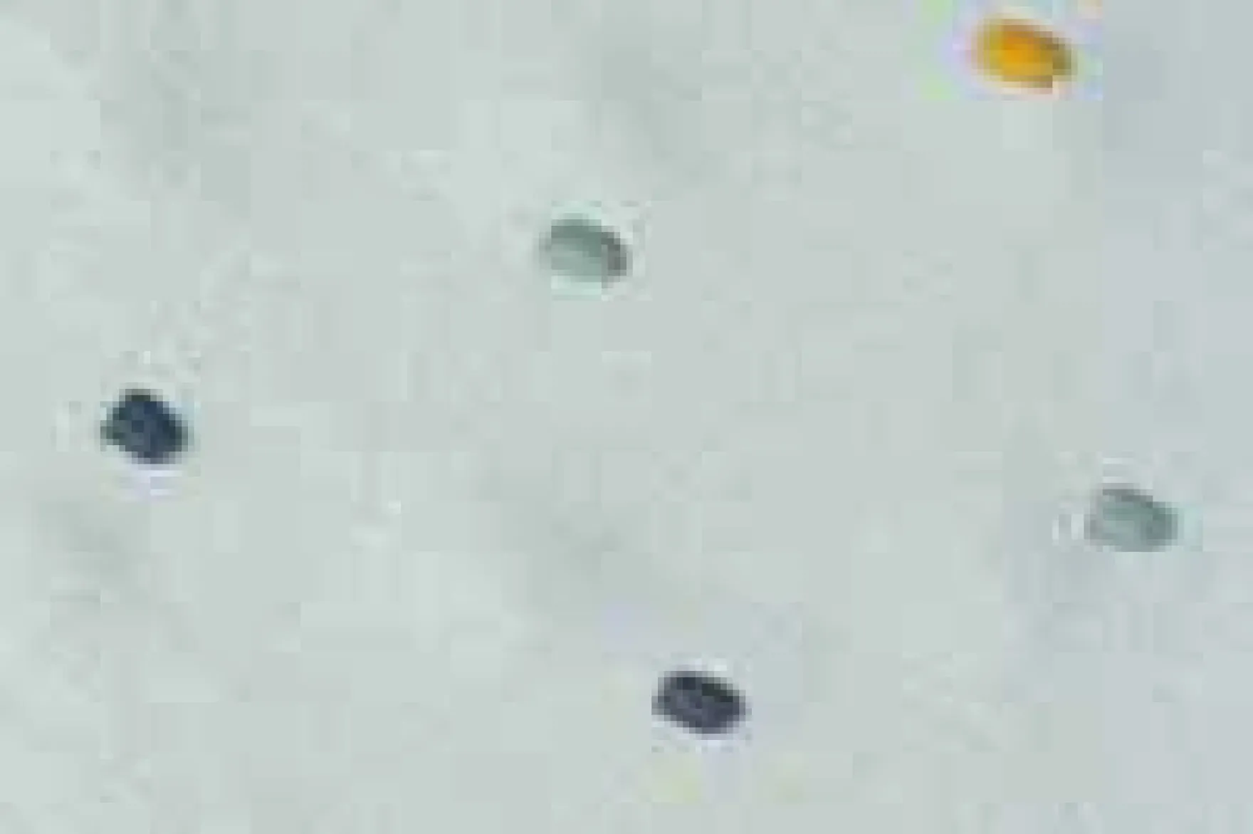 Babydecke Strick "Dots" mint