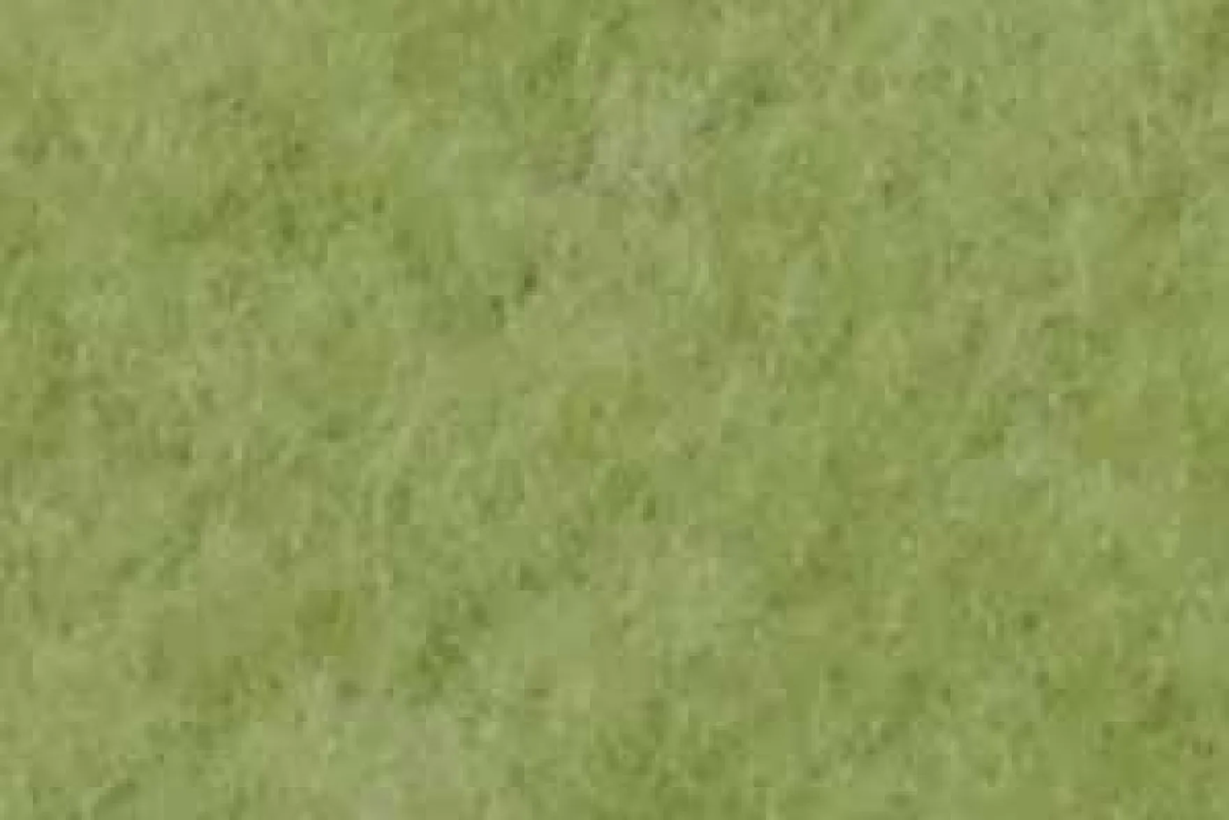 Fäustlinge Fleece grün