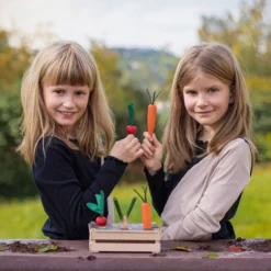 Gemüsebeet Erzi-Garten