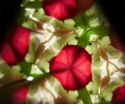 Kaleidoskop aus Holz