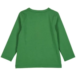 Langarmshirt "Pick-up" grasgrün 98