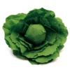 Salatkopf