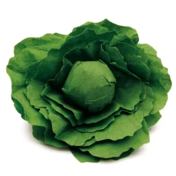 Salatkopf