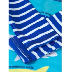 Schwimmanzug 