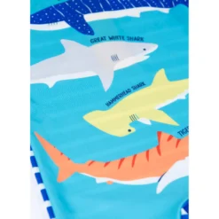 Schwimmanzug 