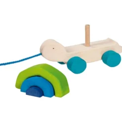 Ziehtier Schildkröte "Tortuga"