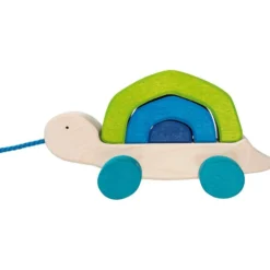 Ziehtier Schildkröte 